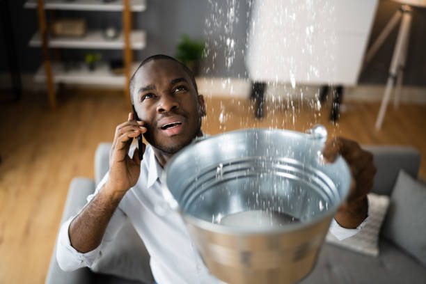 Best Local water damage restoration  in Oildale, CA