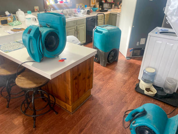 Best 24/7 water damage repair  in Oildale, CA