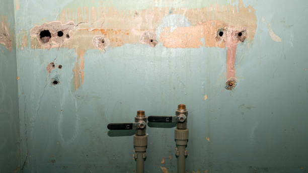 Best Water damage contractors near me  in Oildale, CA