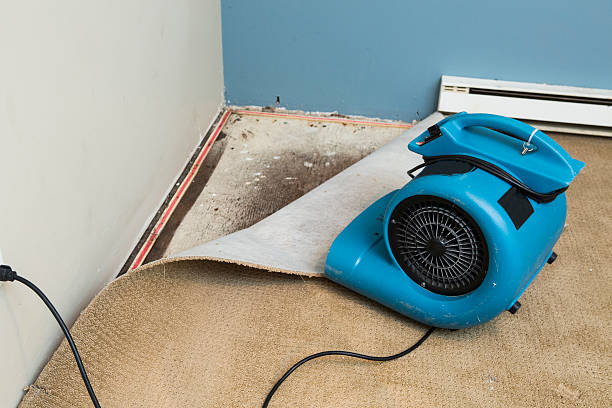 Best Commercial water damage restoration  in Oildale, CA